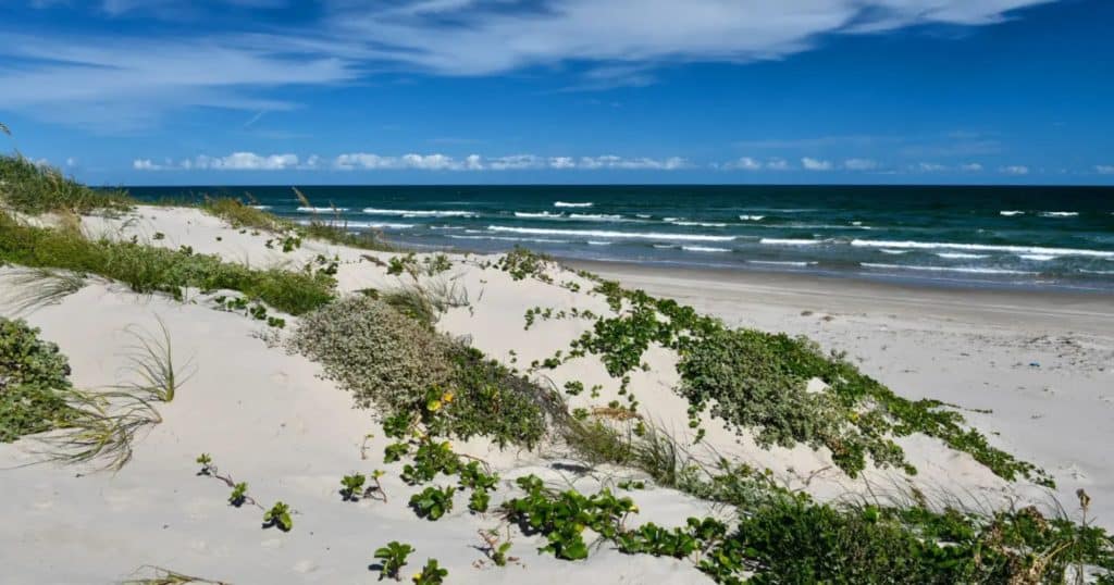 Padre Island National Seashore texas