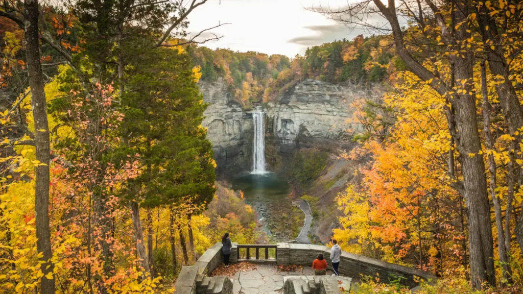 The Finger Lakes New York City