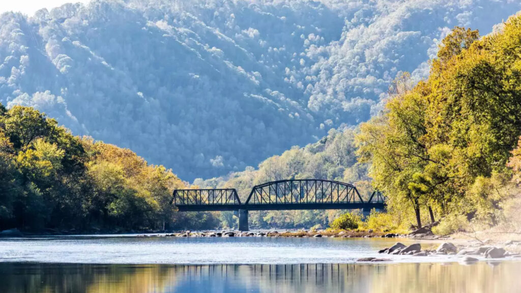 ALLEGHENY NATIONAL FOREST