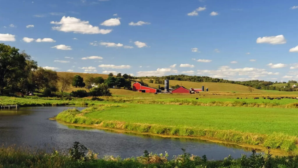 AMISH COUNTRY