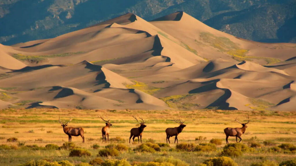 GREAT SAND DUNES NATIONAL PARK