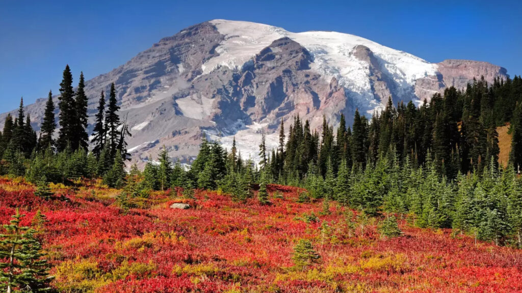 MOUNT RAINIER NATIONAL PARK